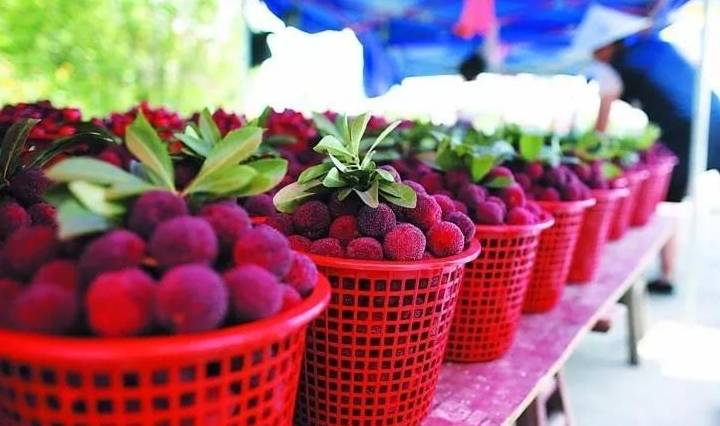 饿货,来点"杨梅"吐气吧,这酸爽!_中国_水果_维生素