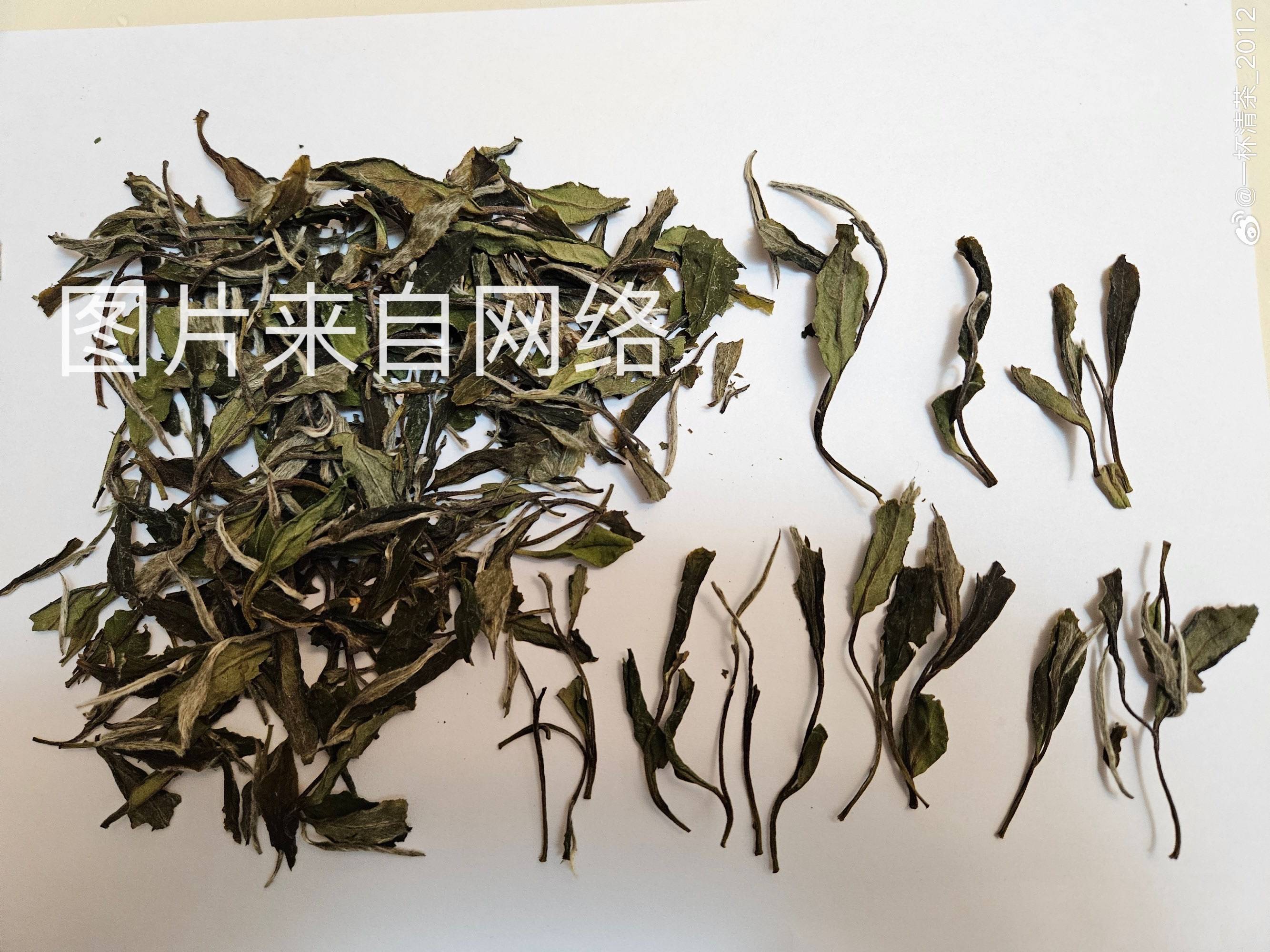 315打假,曝光3款伪装度很高的问题白茶,看看你中招了吗?_叶片_梅子味_