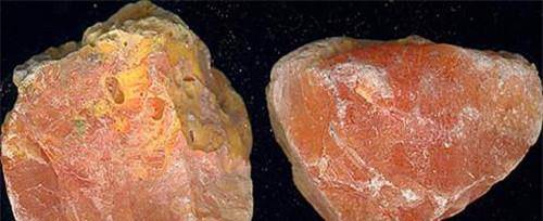 专家:它的配方小孩都知道_丹顶鹤_砒霜_毒物