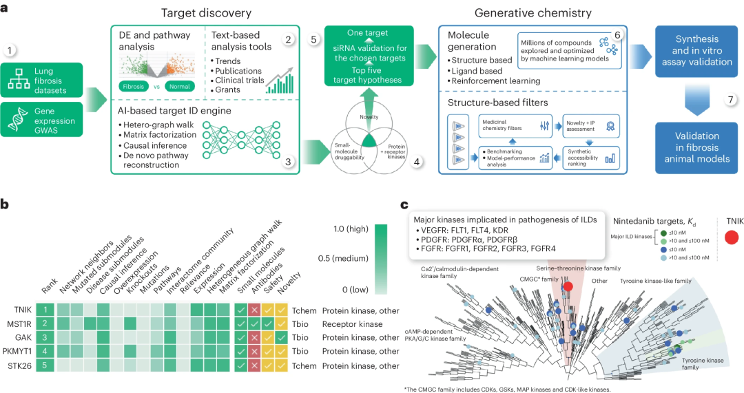 18个月开创ai药研先例insilico公开其首款ai药物研发全过程