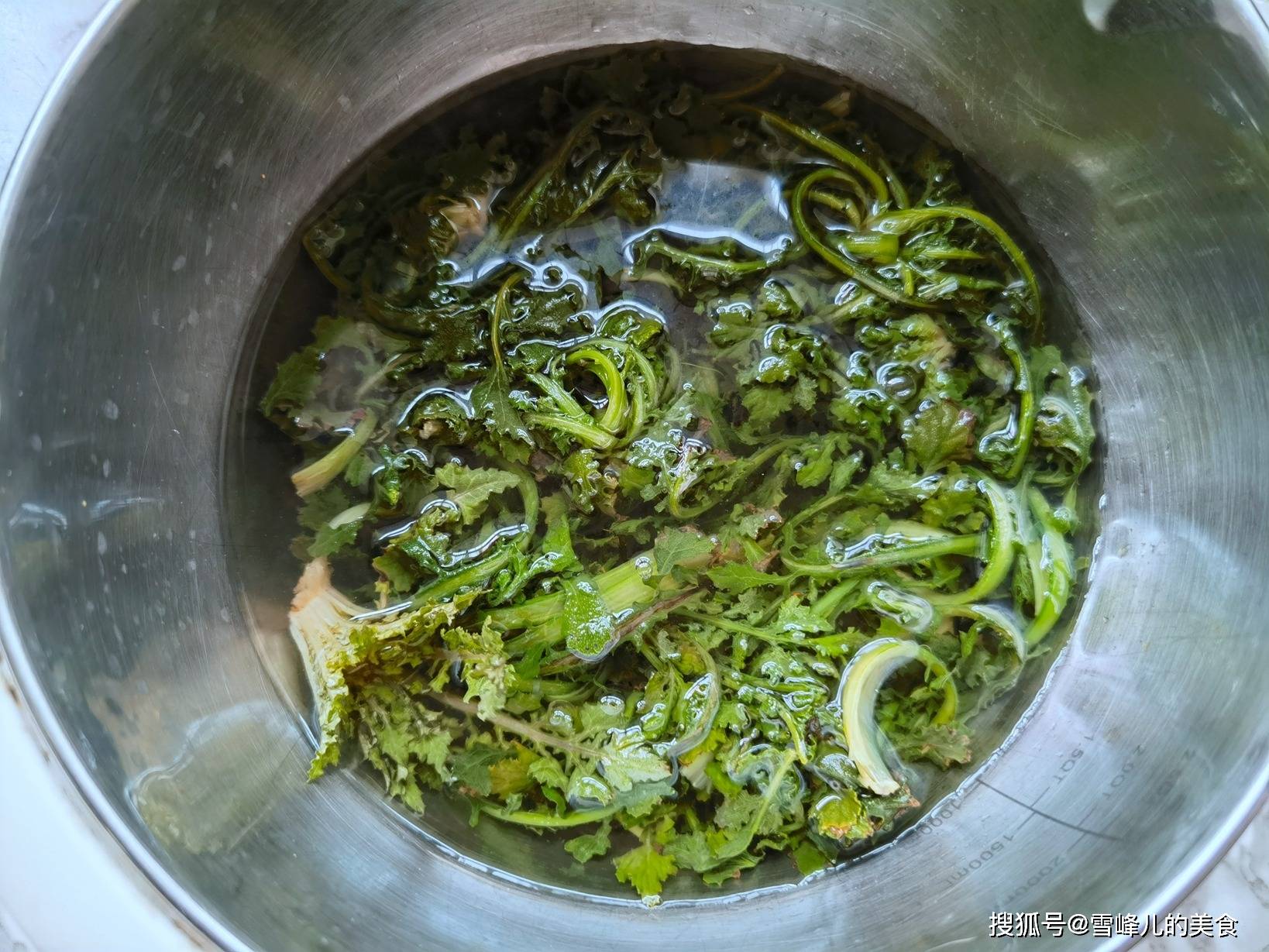 3月泥胡菜你吃过吗?