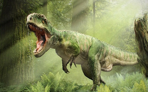 原创最强的恐龙是什么龙最厉害的恐龙第一名你猜到了吗