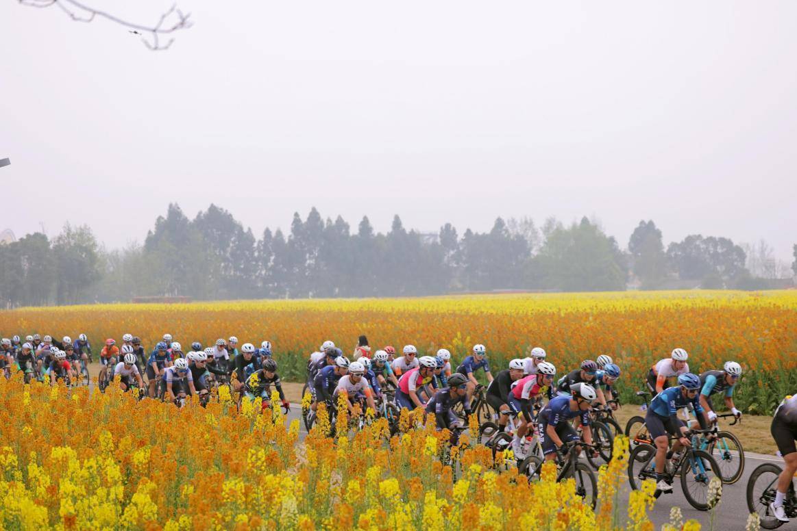 中国61成都天府绿道国际自行车车迷健身节新津站公开赛顺利完赛