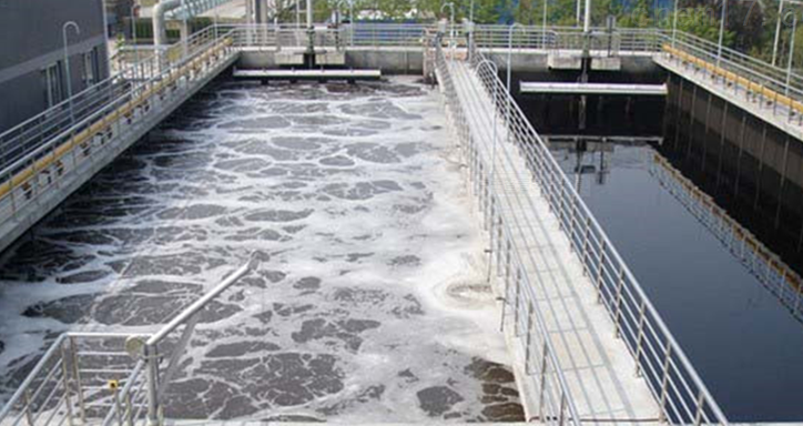 饮料加工废水脱色剂