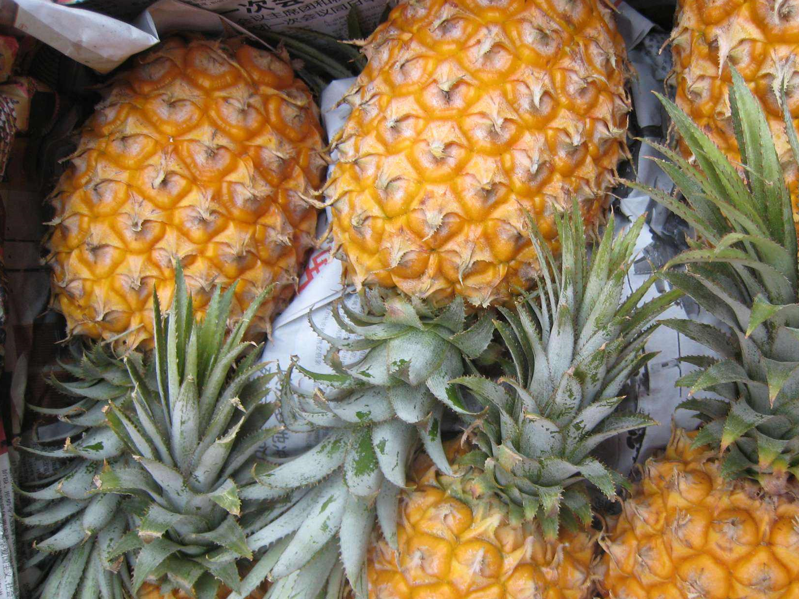 原创菠萝怎么挑水果店老板牢记这6点保证个个香甜汁水多