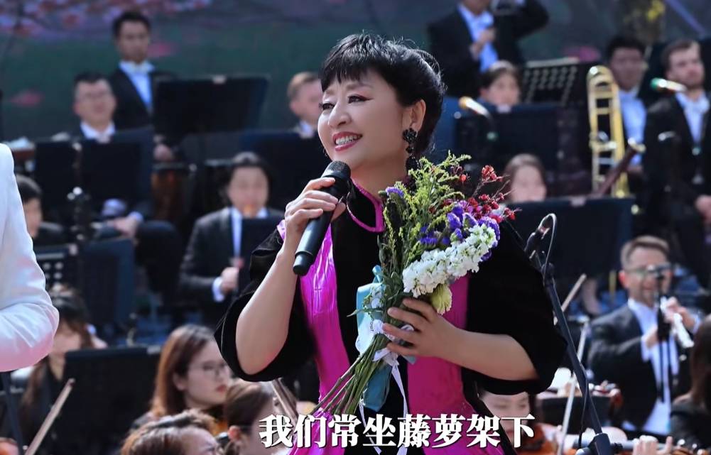 紫藤花殷秀梅演唱图片