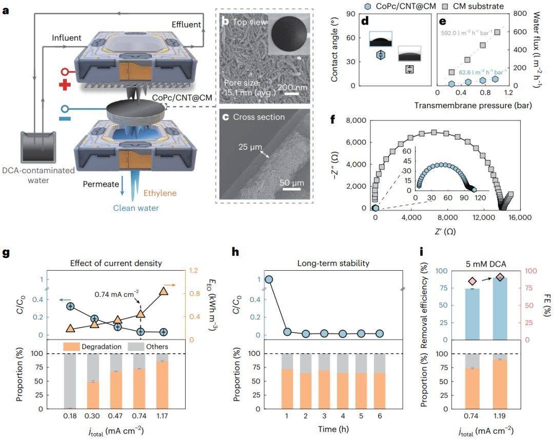 耶鲁大学王海梁团队最新naturenanotechnology