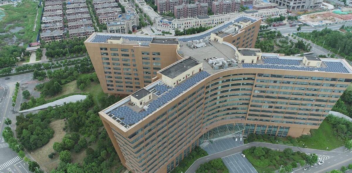 河南当年没留住985大学肠子都悔青了这是真的吗