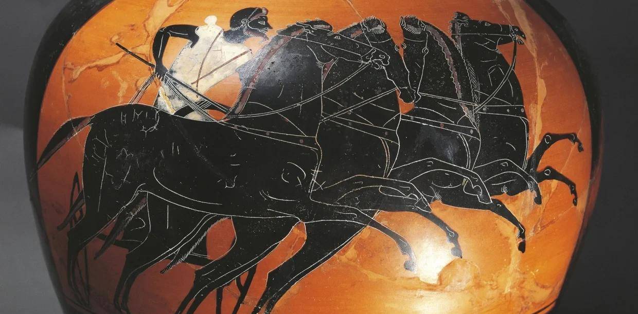 原创精彩照片看世界19世纪俄罗斯的毛脸男孩刚刚蜕壳的蜻蜓