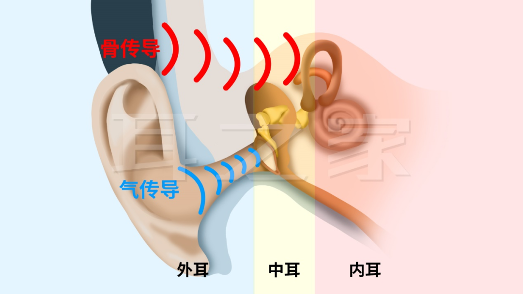 听诊器的工作原理图片