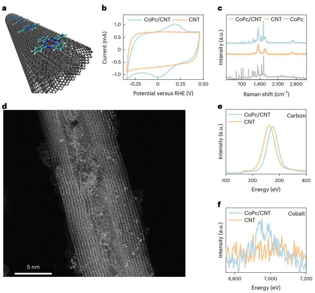耶鲁大学王海梁团队最新naturenanotechnology