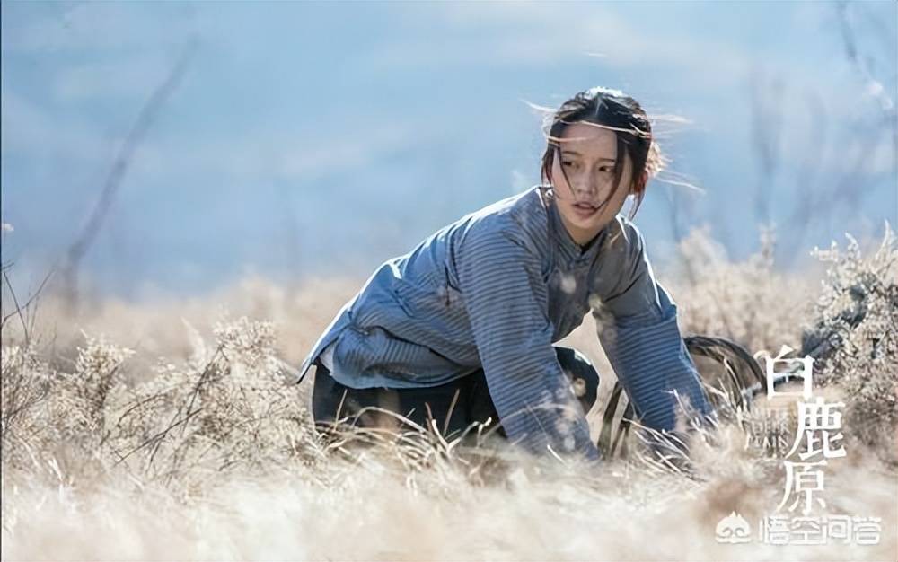 白鹿原中的田小娥与几个男人的情感纠葛