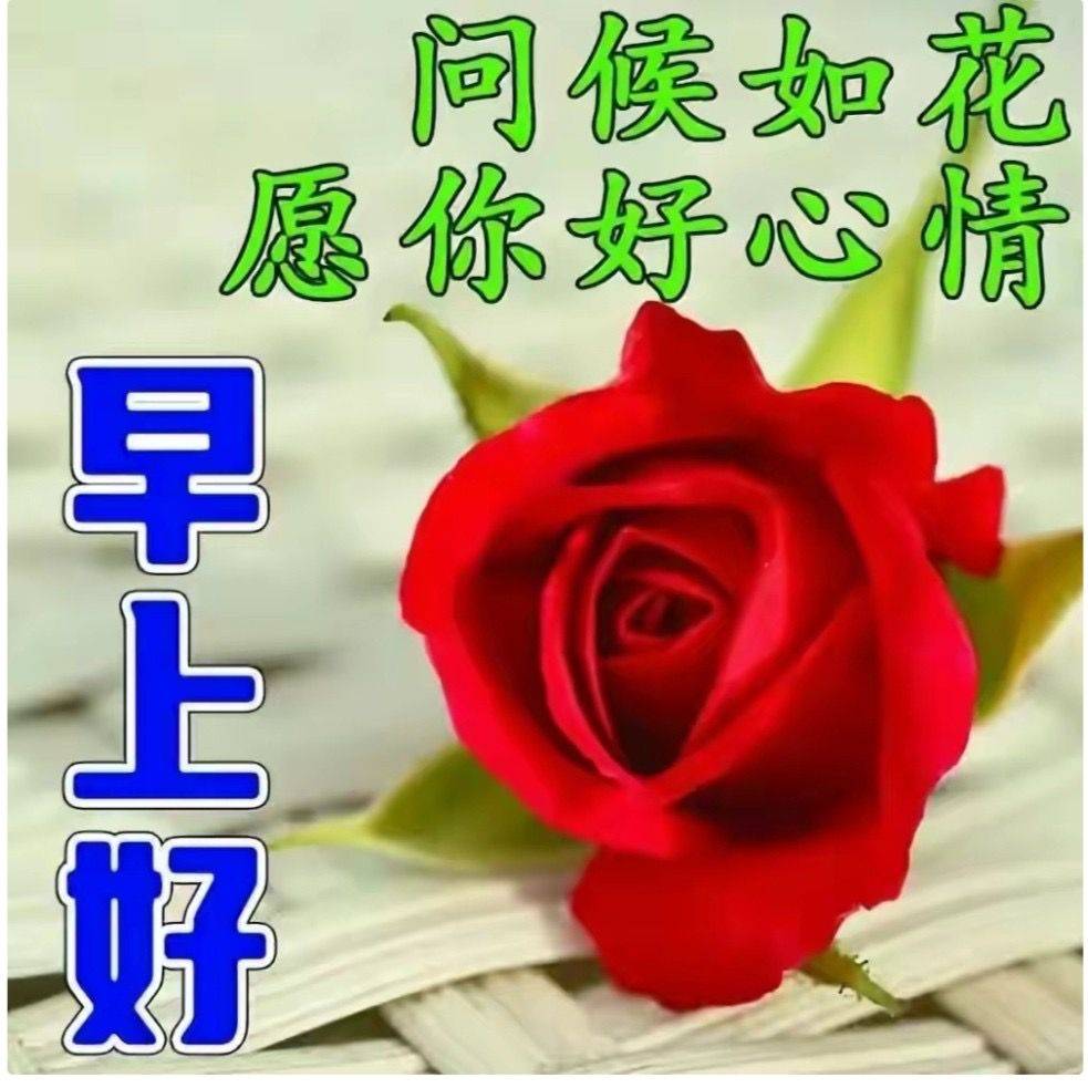 原创二月初十早安18句暖心祝福愿你拥抱每一个快乐与安康的瞬间