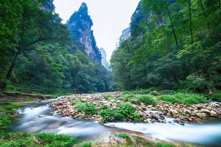 张家界五天旅游网红导游推荐,金鞭溪5天私人定制路线费用_景点_旅行