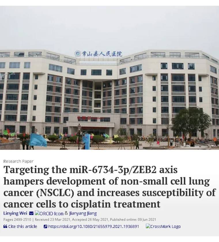 多处图片重复常山县人民医院的论文被质疑