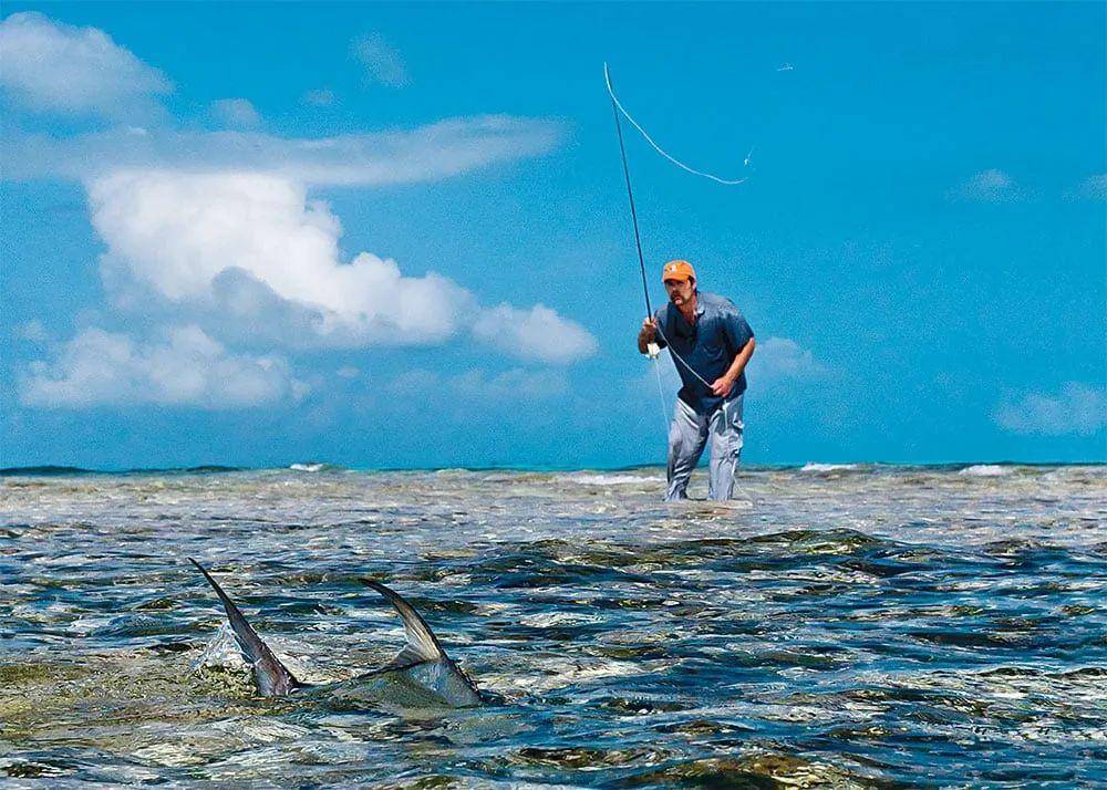 探索海钓魅力flatsfishing平底船钓鱼一种独特的海洋垂钓体验
