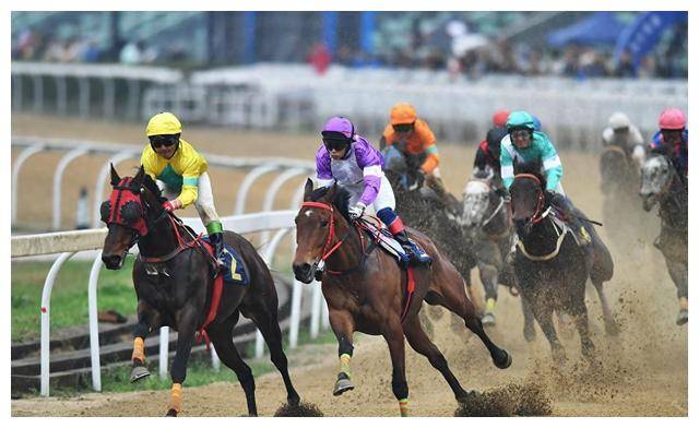 原创中国速度赛马大奖赛武汉扬蹄300万元总奖金创历史新高