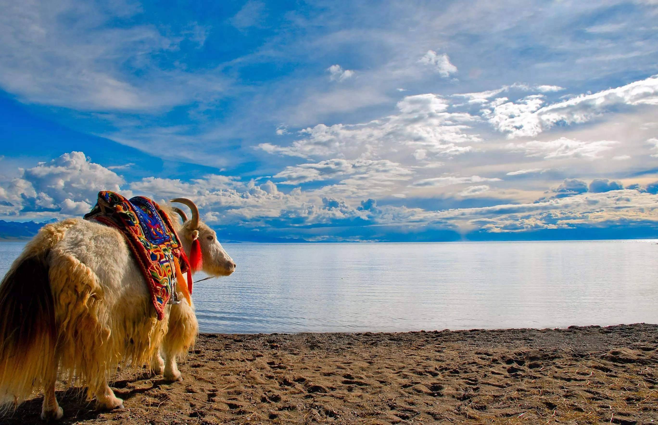 去西藏拉萨旅游六天大概预算多少钱去西藏拉萨六天六天人均预算多少钱