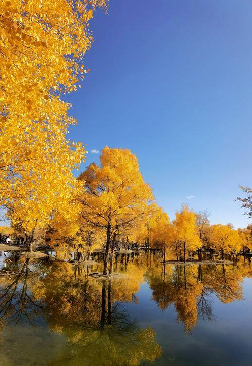 禁忌_中国_塔尔寺