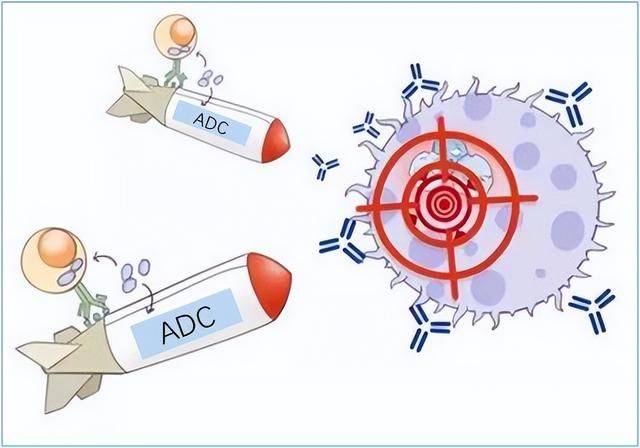 adc类药物锁定目标的魔术子弹精准打击肿瘤细胞
