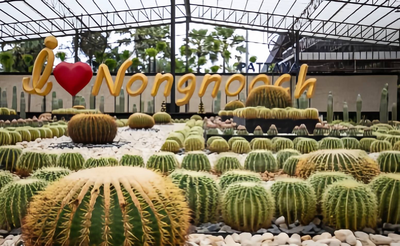 东芭乐园大人也可以找到乐趣的地方