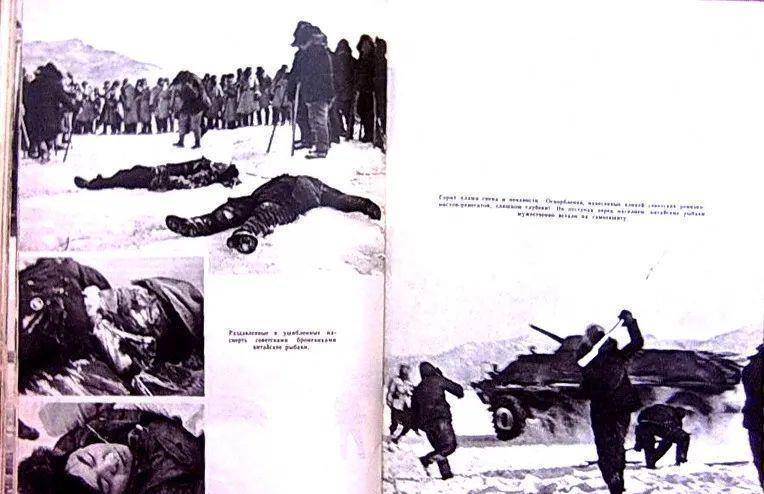 打倒新沙皇打倒苏修1969年的珍宝岛事件