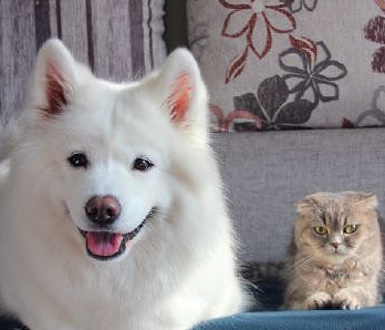 原创搞笑大赢家老婆我都瘸了你还坐我的轮椅