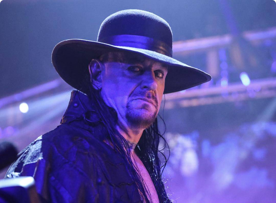 擂台,看到65岁的斯汀打比赛,更是对退役心有不甘_摔跤_patreon_the