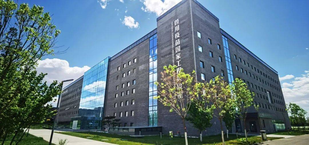 呼和浩特市因地制宜推动科技突围抢占未来产业新赛道