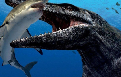 原创海洋里最大的恐龙排行榜体型最大的海洋恐龙你肯定不知道