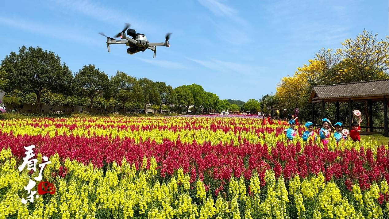 此外,我们将自主研发的专业制作系统满天星用于现场8k 3d 180°vr及