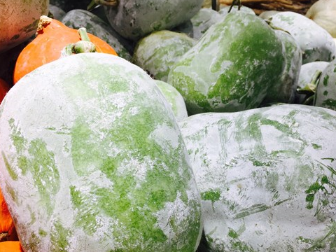 女性不想过早衰老,要多吃3种食物,美容养颜,有益健康!_冬瓜_人体_的作