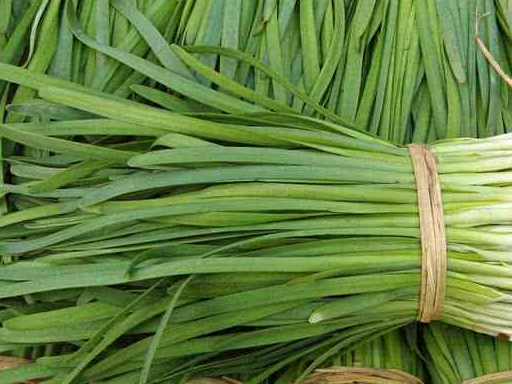 我们先来看看韭菜的营养价值,韭菜含有碳水化合物,膳食纤维,蛋白质