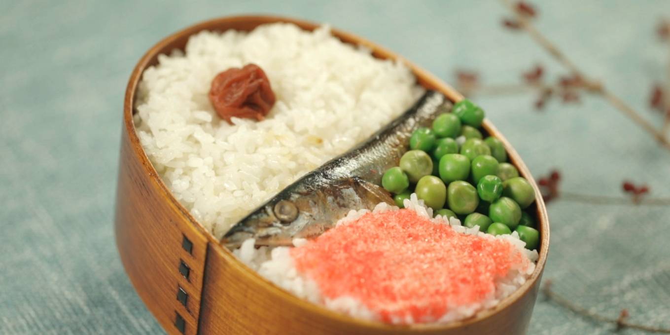 做一份龙猫便当送给喜欢的人吧好吃又好看