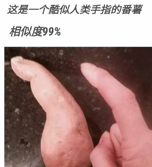 那些因为上帝突发奇想被打造出来的蔬菜看完你敢吃吗