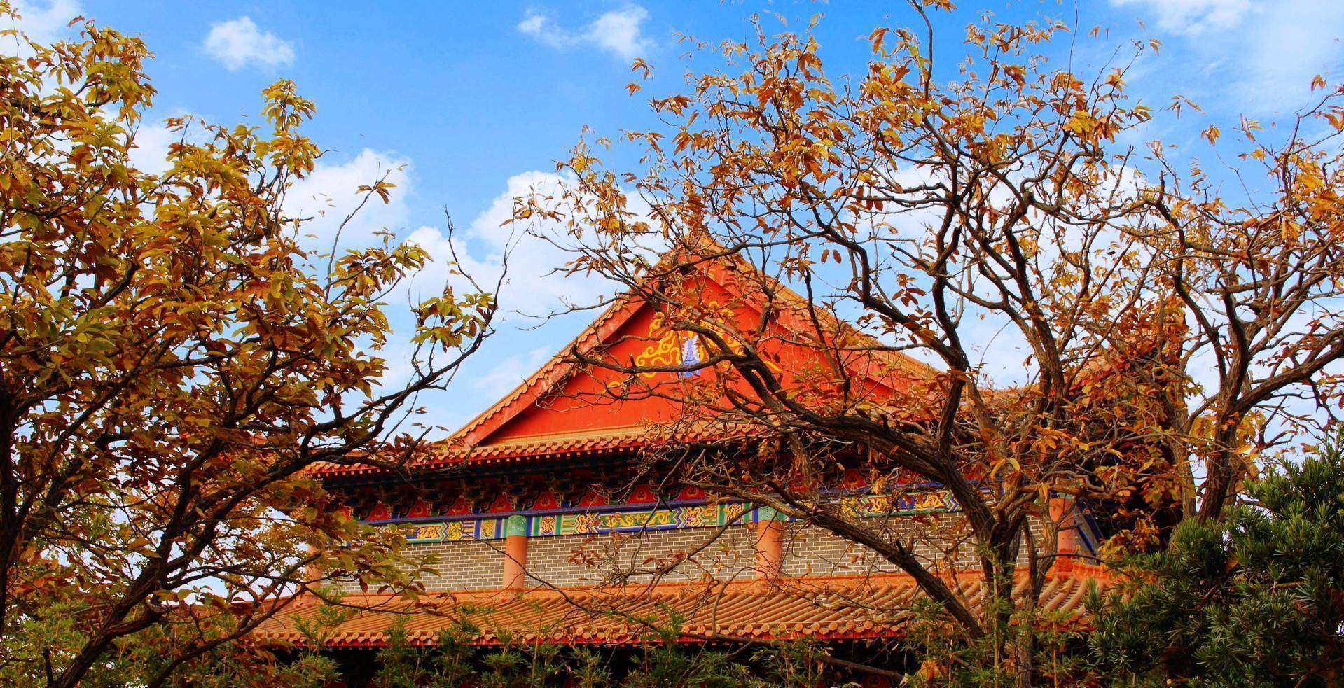 山东临沂这个县城,被誉为"天下银杏第一乡",交通便利游客众多_郯城_官