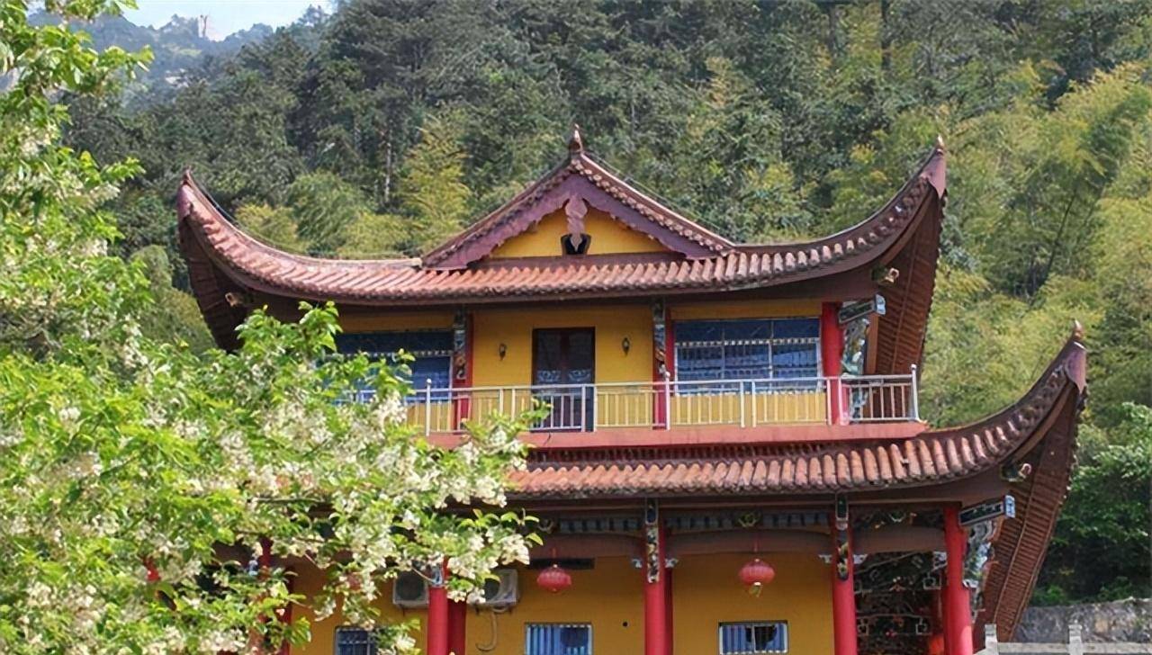 原创2008年父母支持985高校的女儿退学当尼姑14年过去后悔了吗