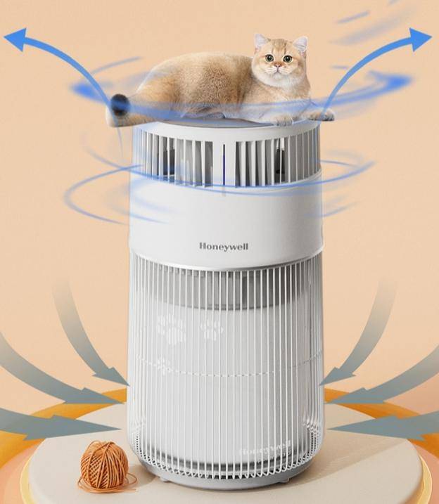 春季猫咪掉毛严重猫用空气净化器解君愁