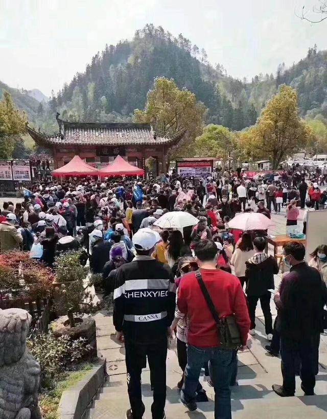清明假期不要再来黄山了到处都是人到处都堵车
