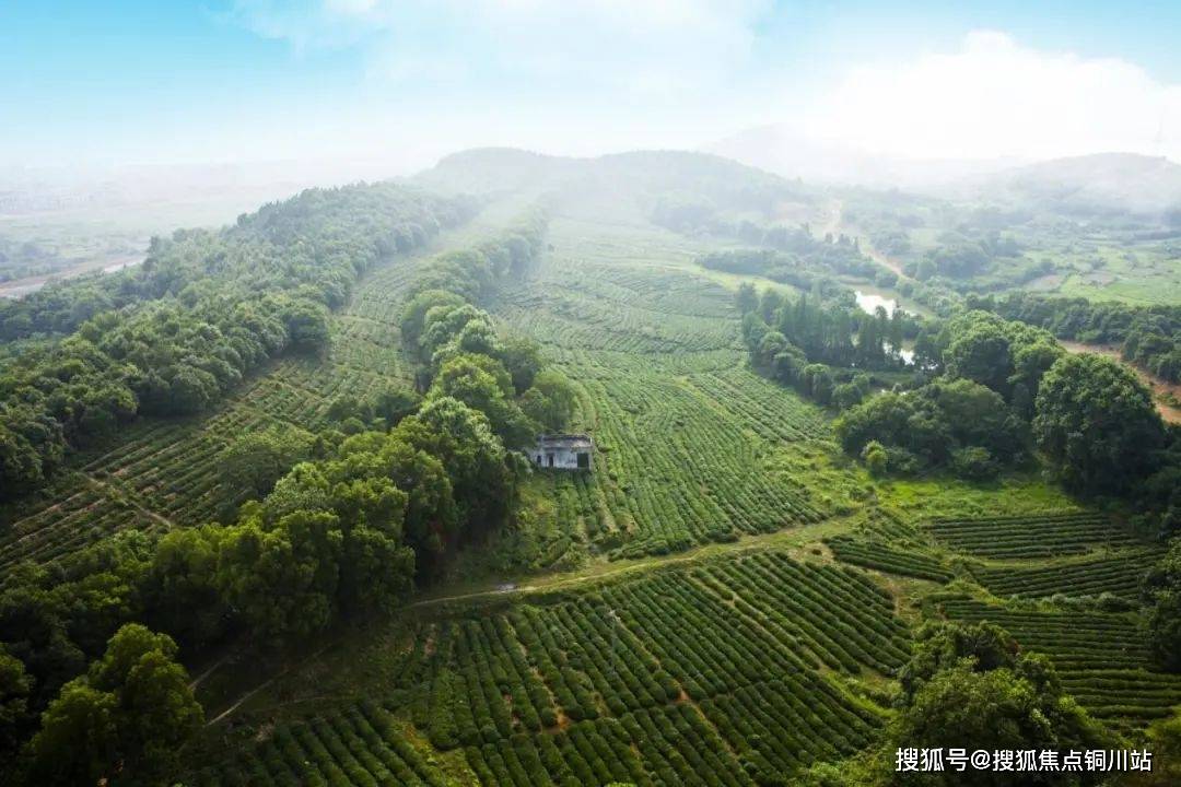 武汉城建花山印象