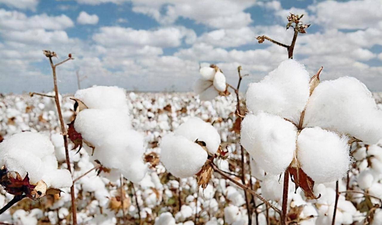 贫民窟里的血汗工厂,非法性交易屡禁不止,印度还有出头之日吗?_工作_