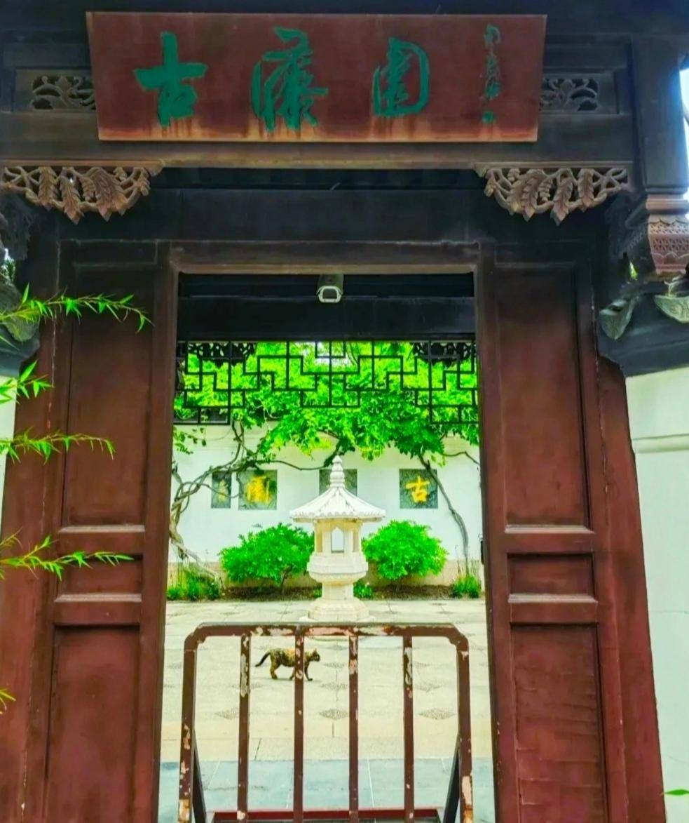 上海闵行古藤园宜人美景