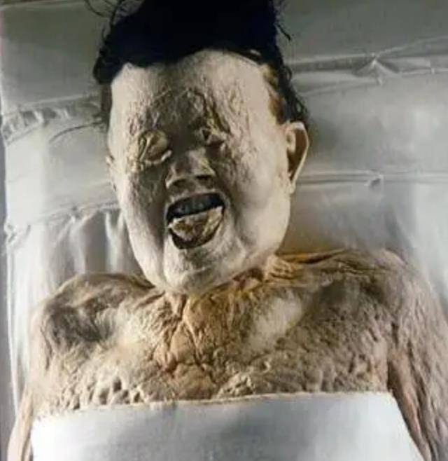 吃货创造的历史辛追夫人墓中发现一物开盖即融