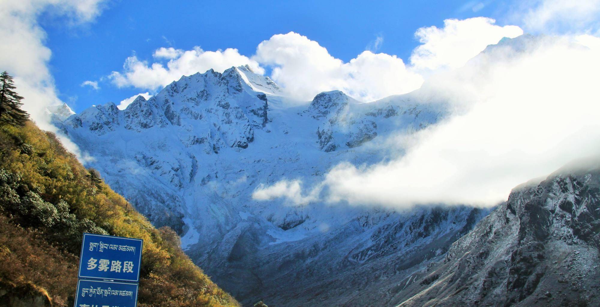 墨脱蚂蝗山图片