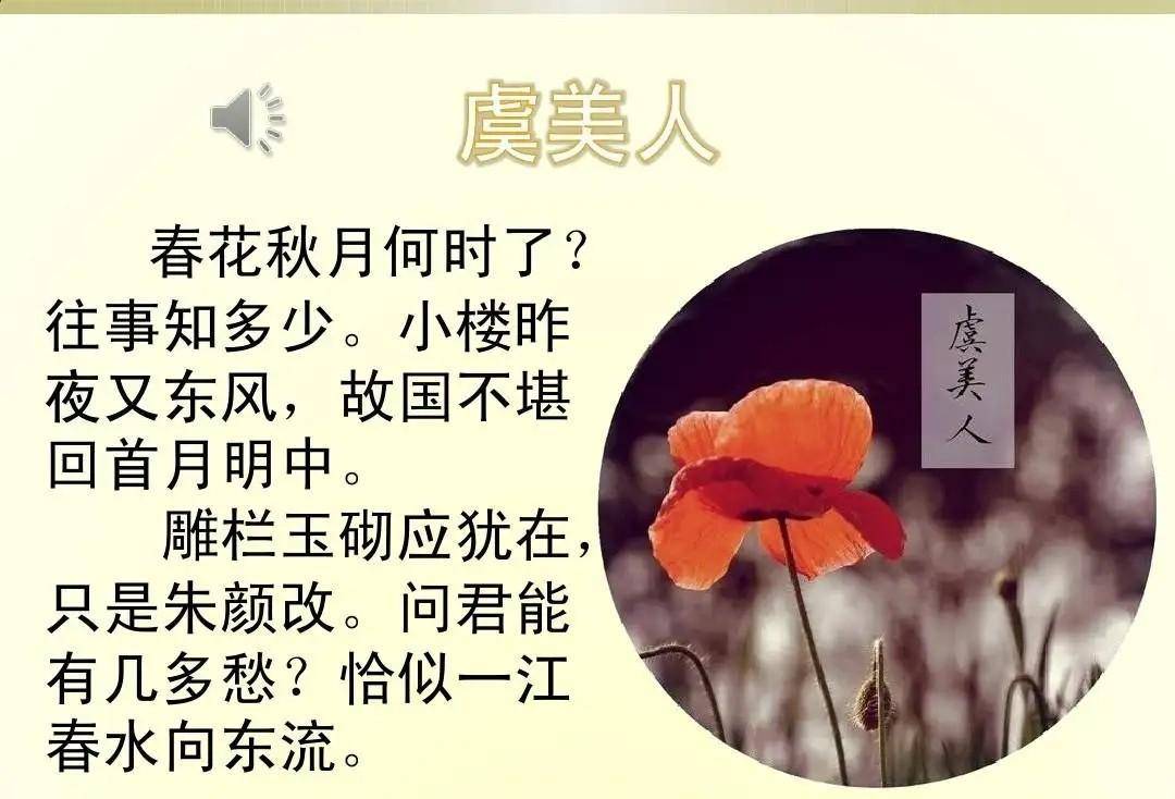 这个世界上最亲近的人虞姬死了,项羽不再有后顾之忧.深夜里,他