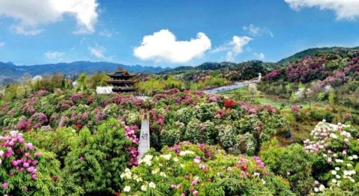 第一次去贵州玩这几点需注意跟着玩就对了