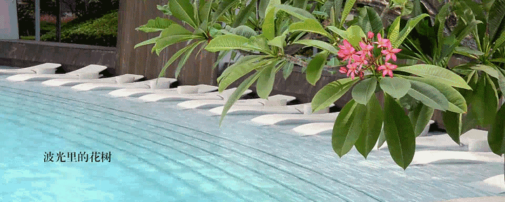 深圳中心天元售楼处首页网站中心天元欢迎您交通房价户型楼盘详情