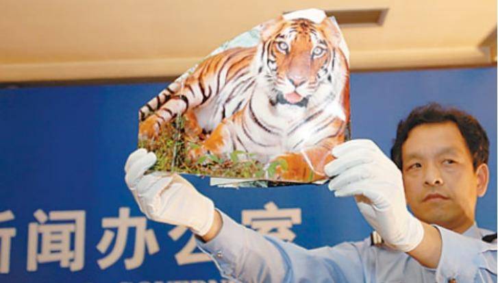 原创时隔13年美国麻省理工表示周正龙华南虎照是真的靠谱吗