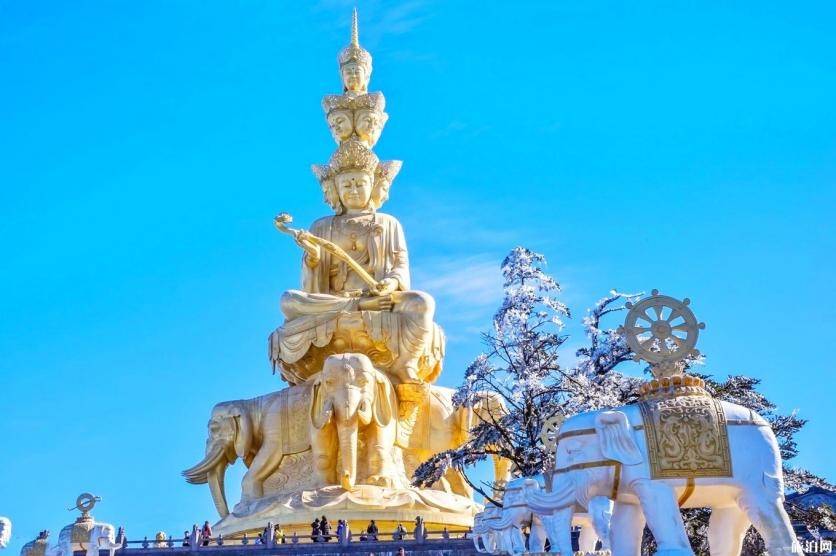 跟团去四川乐山大佛和峨眉山游玩攻略峨眉山好玩还是乐山大佛好玩路线