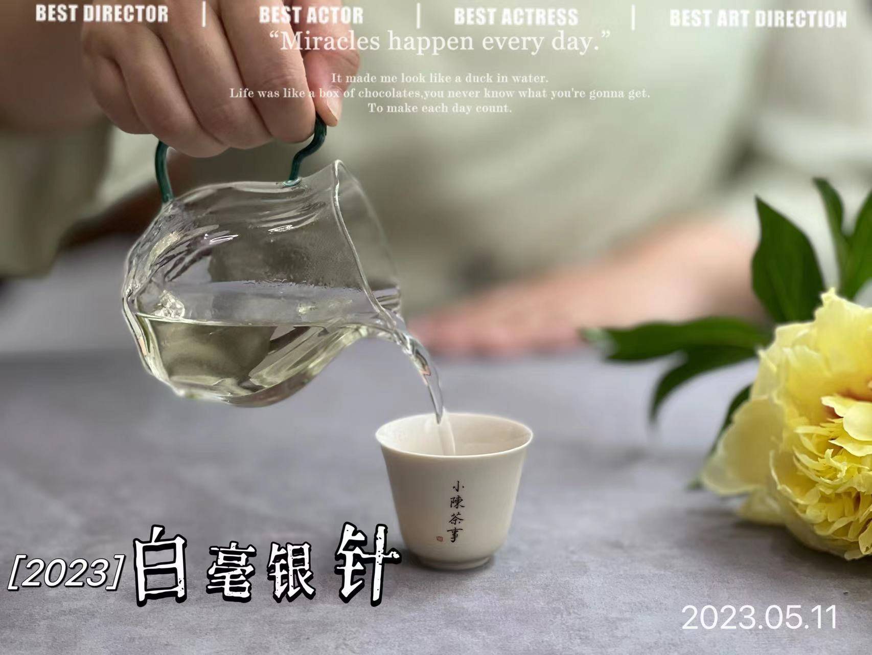 原创白茶冲泡的5大误区但凡有1个做错了品质再好的白茶也好喝不了